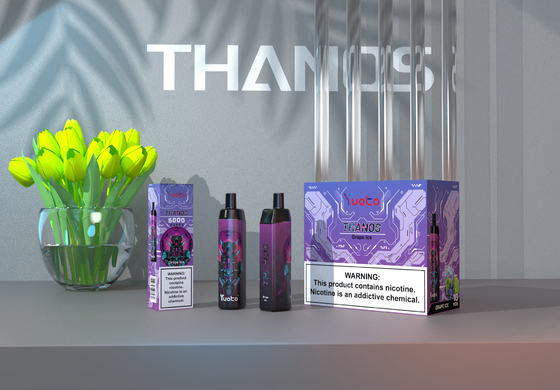 5000 soplos Vape desechable al por mayor con 14 ml E-Liquid 650mAh Batería Mesh Coil Support Personalizar